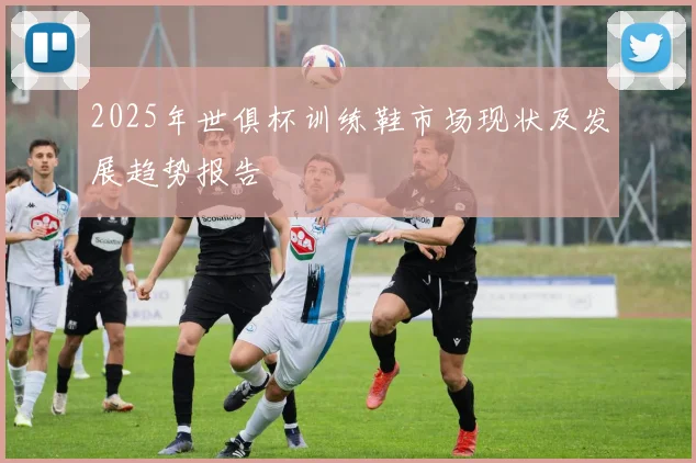 2025年世俱杯训练鞋市场现状及发展趋势报告