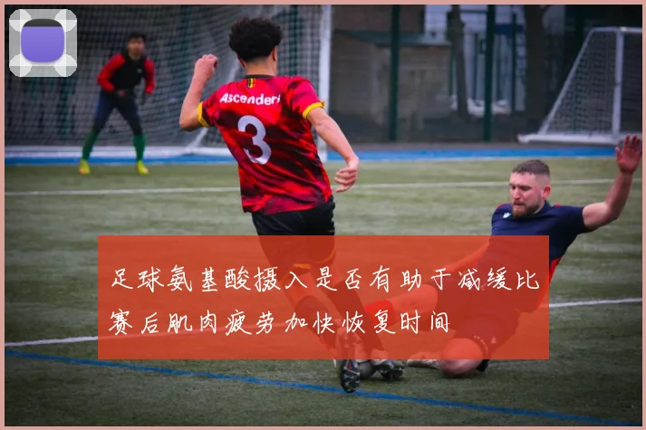 足球氨基酸摄入是否有助于减缓比赛后肌肉疲劳加快恢复时间