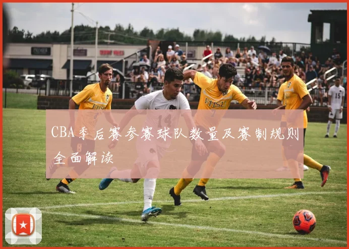 CBA季后赛参赛球队数量及赛制规则全面解读